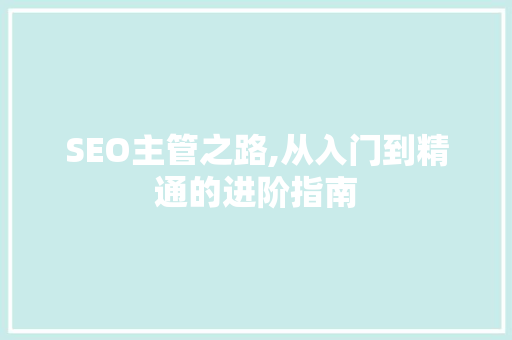 SEO主管之路,从入门到精通的进阶指南