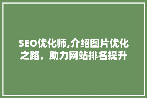 SEO优化师,介绍图片优化之路，助力网站排名提升