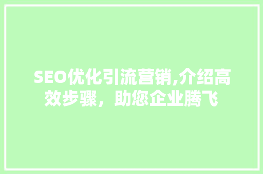 SEO优化引流营销,介绍高效步骤，助您企业腾飞