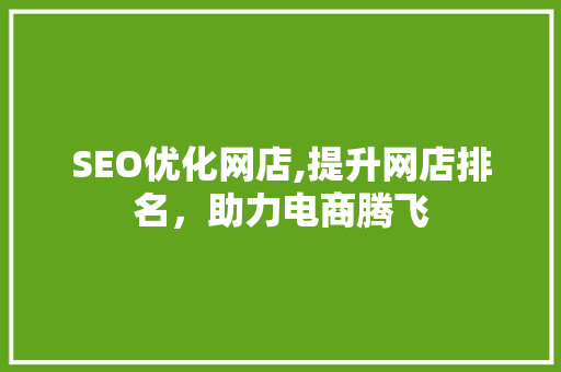SEO优化网店,提升网店排名，助力电商腾飞