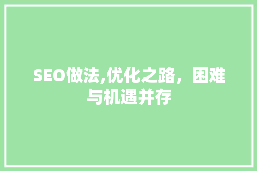 SEO做法,优化之路，困难与机遇并存