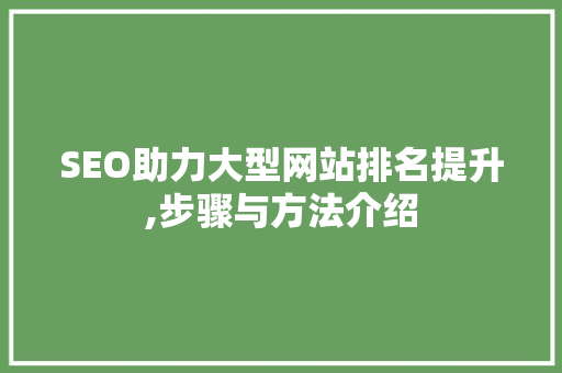 SEO助力大型网站排名提升,步骤与方法介绍