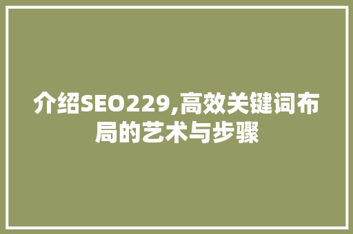 介绍SEO229,高效关键词布局的艺术与步骤