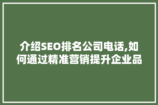 介绍SEO排名公司电话,如何通过精准营销提升企业品牌影响力