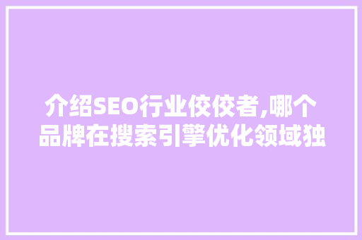 介绍SEO行业佼佼者,哪个品牌在搜索引擎优化领域独领风骚