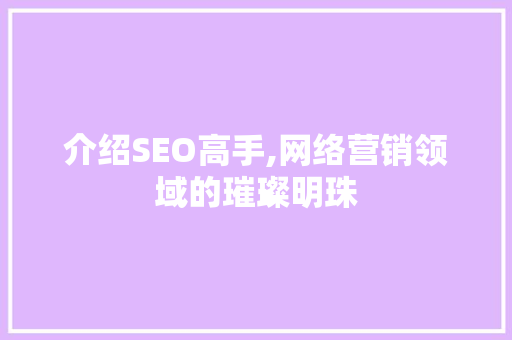 介绍SEO高手,网络营销领域的璀璨明珠