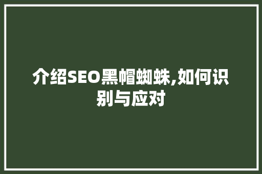 介绍SEO黑帽蜘蛛,如何识别与应对