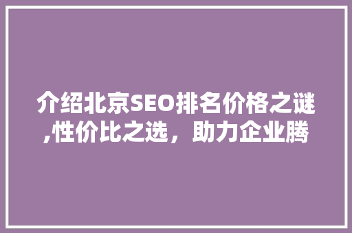 介绍北京SEO排名价格之谜,性价比之选，助力企业腾飞