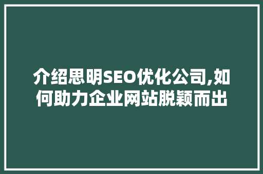 介绍思明SEO优化公司,如何助力企业网站脱颖而出