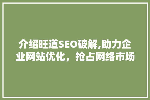 介绍旺道SEO破解,助力企业网站优化，抢占网络市场先机