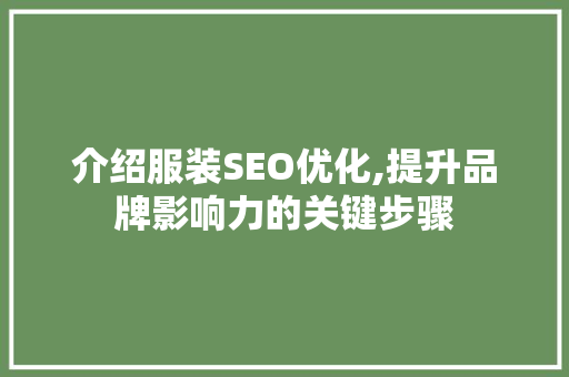 介绍服装SEO优化,提升品牌影响力的关键步骤
