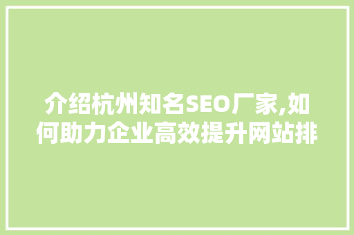 介绍杭州知名SEO厂家,如何助力企业高效提升网站排名