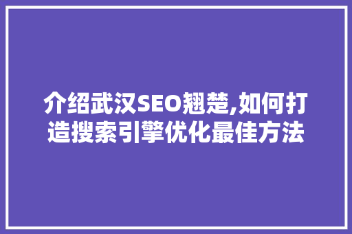 介绍武汉SEO翘楚,如何打造搜索引擎优化最佳方法