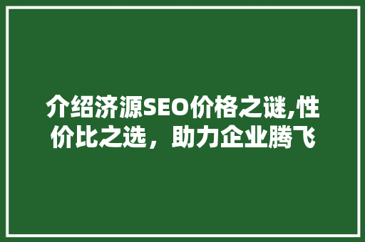介绍济源SEO价格之谜,性价比之选，助力企业腾飞