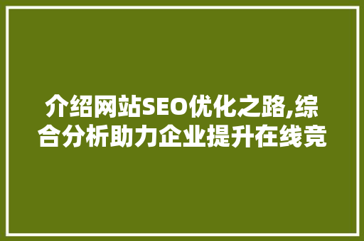 介绍网站SEO优化之路,综合分析助力企业提升在线竞争力  第1张