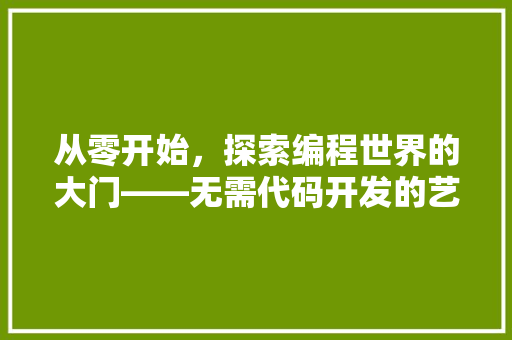 从零开始，探索编程世界的大门——无需代码开发的艺术