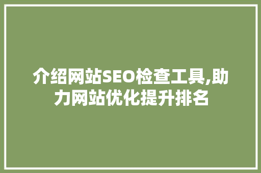 介绍网站SEO检查工具,助力网站优化提升排名