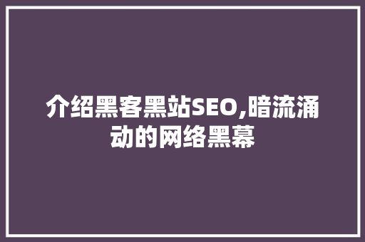 介绍黑客黑站SEO,暗流涌动的网络黑幕