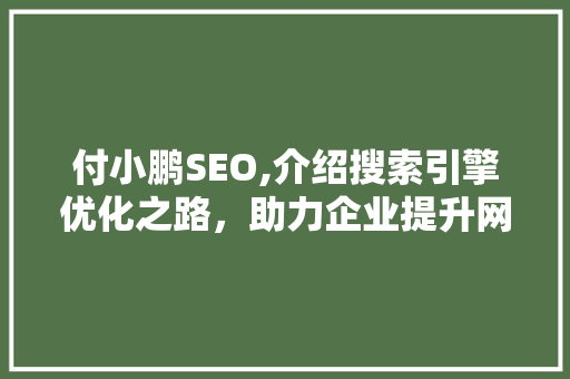 付小鹏SEO,介绍搜索引擎优化之路，助力企业提升网络竞争力