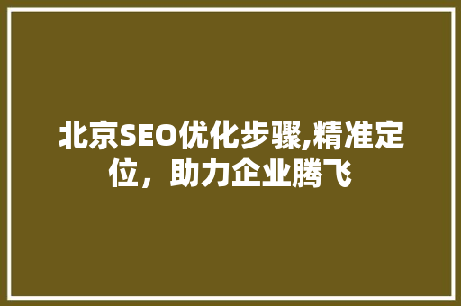 北京SEO优化步骤,精准定位，助力企业腾飞