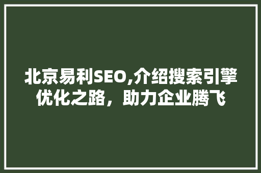 北京易利SEO,介绍搜索引擎优化之路，助力企业腾飞
