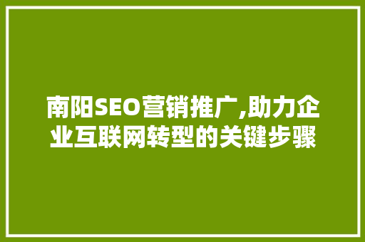 南阳SEO营销推广,助力企业互联网转型的关键步骤