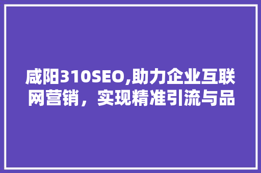 咸阳310SEO,助力企业互联网营销，实现精准引流与品牌价值提升