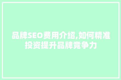 品牌SEO费用介绍,如何精准投资提升品牌竞争力