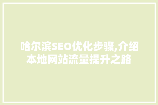 哈尔滨SEO优化步骤,介绍本地网站流量提升之路