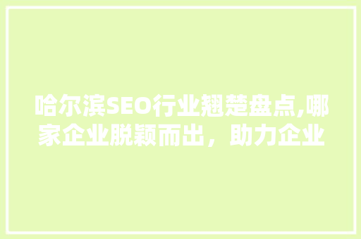 哈尔滨SEO行业翘楚盘点,哪家企业脱颖而出，助力企业腾飞