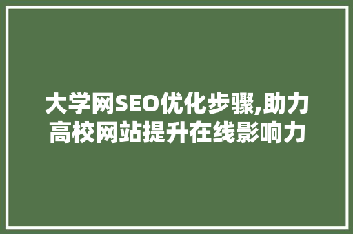 大学网SEO优化步骤,助力高校网站提升在线影响力