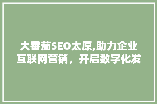 大番茄SEO太原,助力企业互联网营销，开启数字化发展新篇章