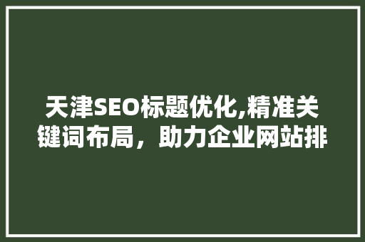 天津SEO标题优化,精准关键词布局，助力企业网站排名提升