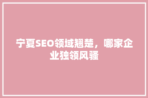 宁夏SEO领域翘楚，哪家企业独领风骚
