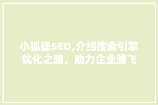 小狐狸SEO,介绍搜索引擎优化之路，助力企业腾飞