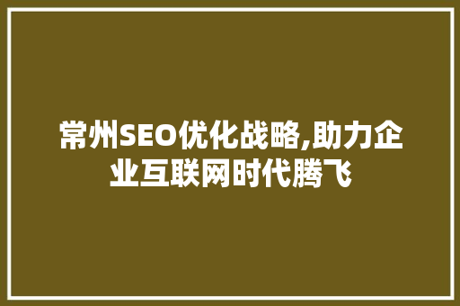 常州SEO优化战略,助力企业互联网时代腾飞