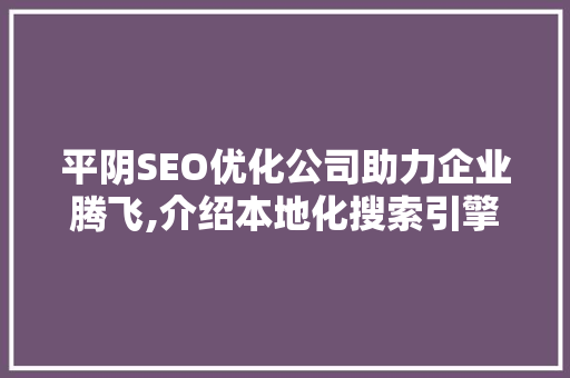 平阴SEO优化公司助力企业腾飞,介绍本地化搜索引擎营销之路