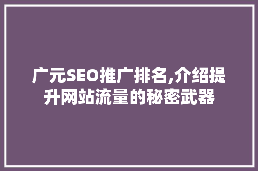 广元SEO推广排名,介绍提升网站流量的秘密武器