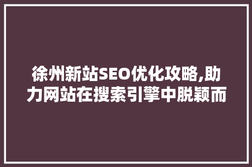 徐州新站SEO优化攻略,助力网站在搜索引擎中脱颖而出