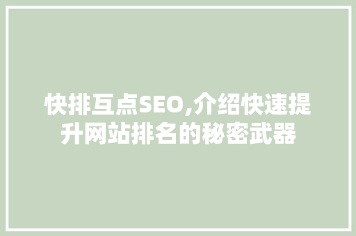 快排互点SEO,介绍快速提升网站排名的秘密武器