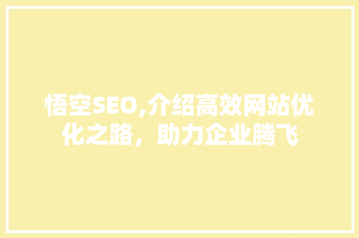 悟空SEO,介绍高效网站优化之路，助力企业腾飞