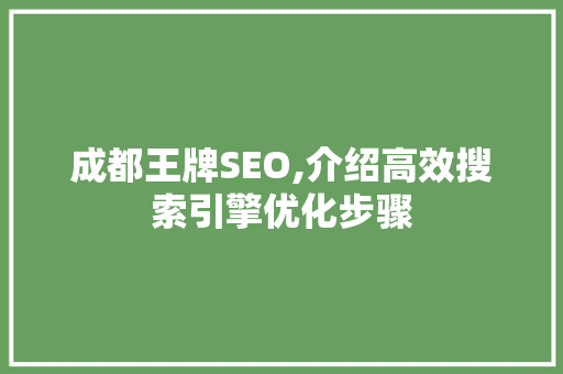 成都王牌SEO,介绍高效搜索引擎优化步骤