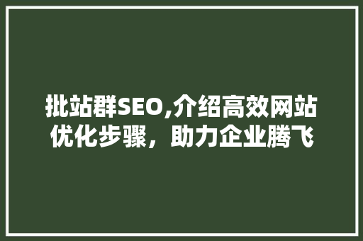 批站群SEO,介绍高效网站优化步骤，助力企业腾飞
