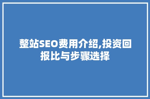 整站SEO费用介绍,投资回报比与步骤选择  第1张