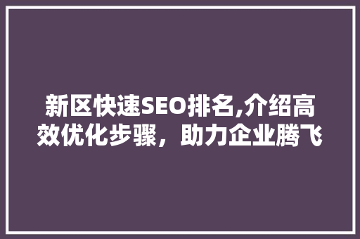 新区快速SEO排名,介绍高效优化步骤，助力企业腾飞