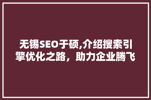 无锡SEO于硕,介绍搜索引擎优化之路，助力企业腾飞