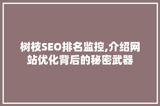 树枝SEO排名监控,介绍网站优化背后的秘密武器