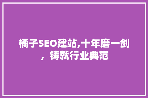 橘子SEO建站,十年磨一剑，铸就行业典范