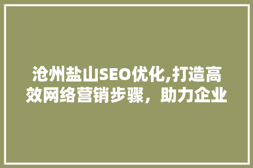 沧州盐山SEO优化,打造高效网络营销步骤，助力企业腾飞