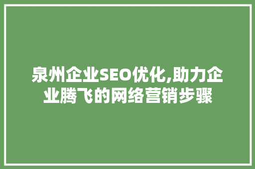泉州企业SEO优化,助力企业腾飞的网络营销步骤